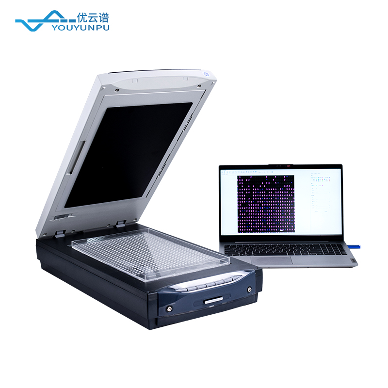 大米外觀品質分析儀：讓每一粒大米的數(shù)據(jù)說話